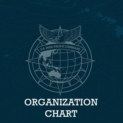 ORG_CHART_ICON..jpg